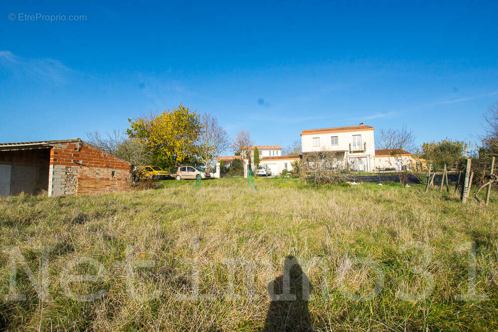 Terrain à PUYLAURENS