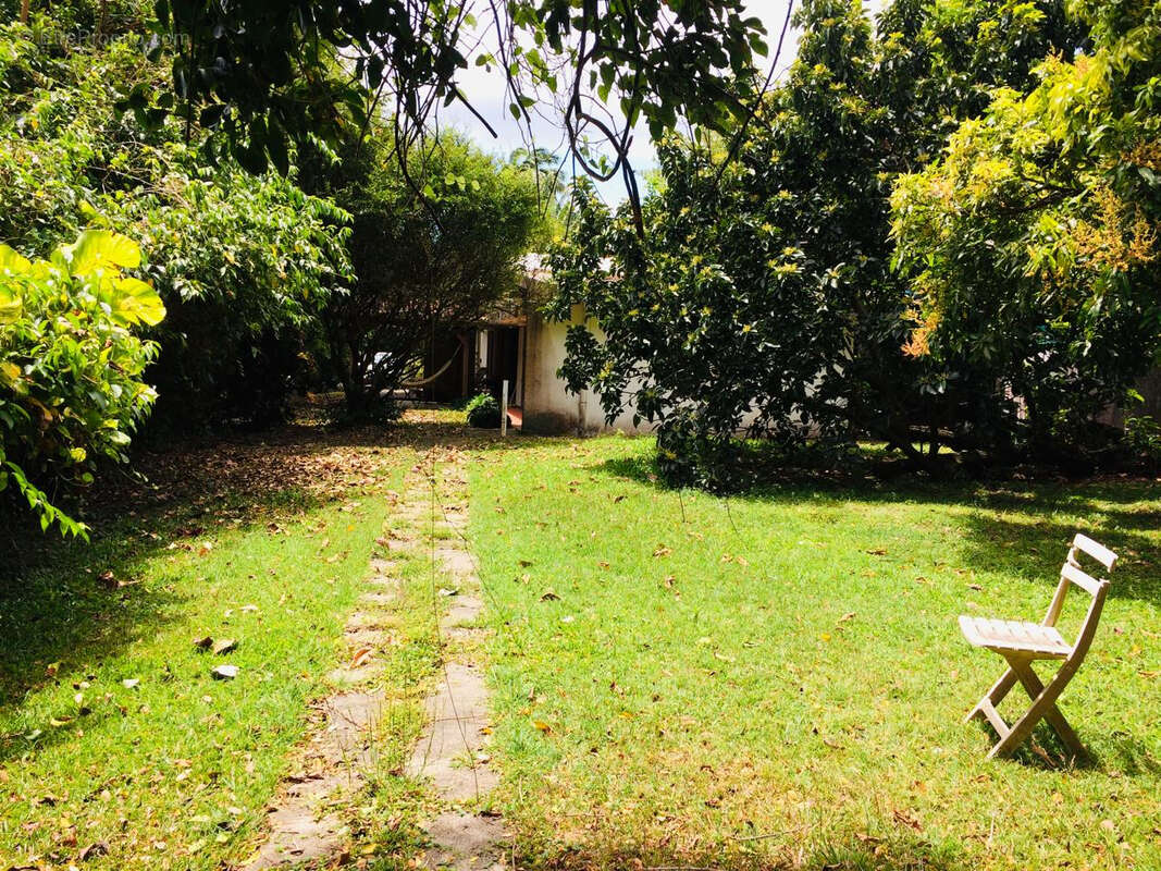 Villa de Charme Dider Fort de France - photo 15