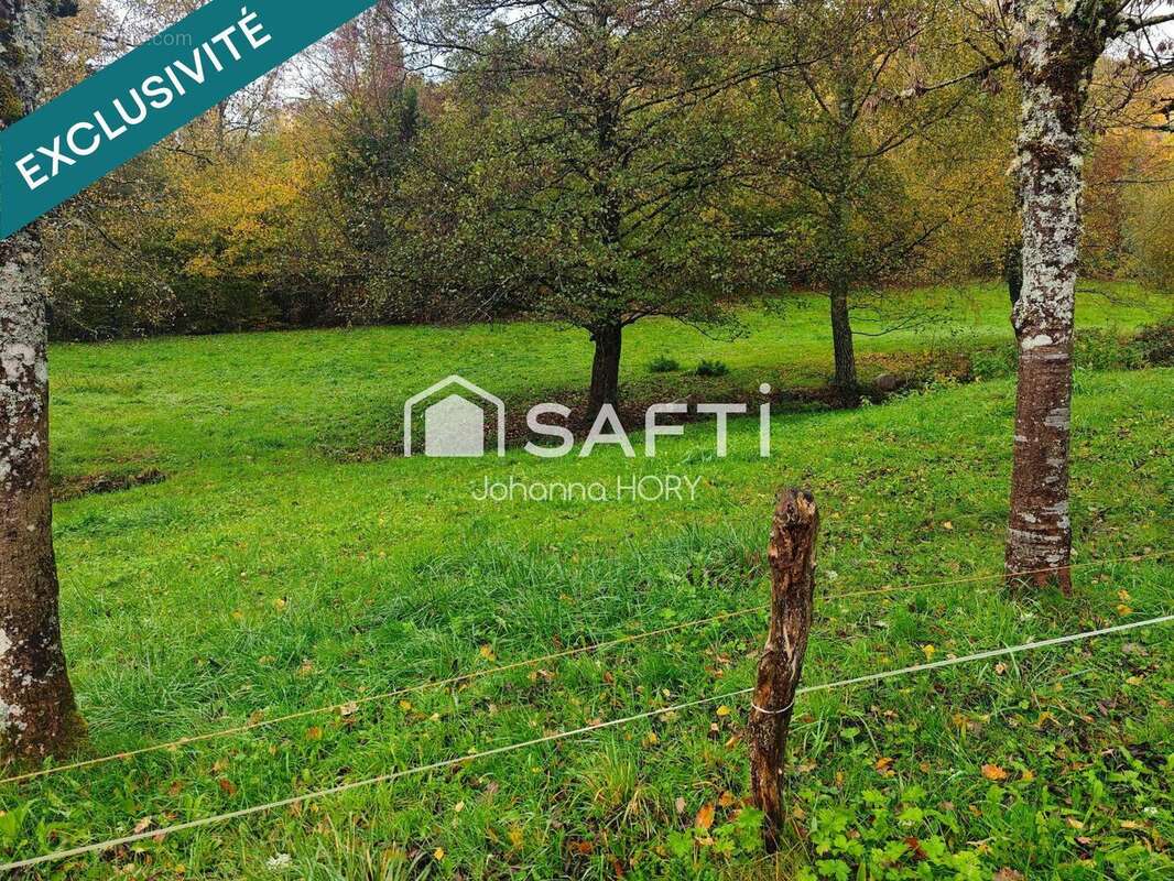 Photo 4 - Terrain à HUSSEREN-WESSERLING