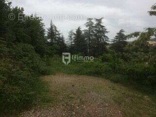 Privas-(07000)-Terrain à bâtir pour la réalisation de 5 villas - photo 2