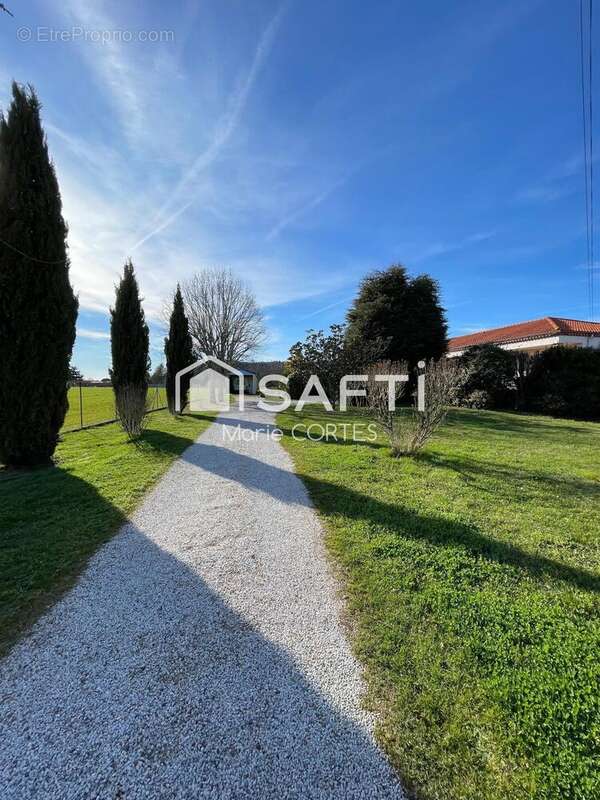 Photo 6 - Maison à ALBI