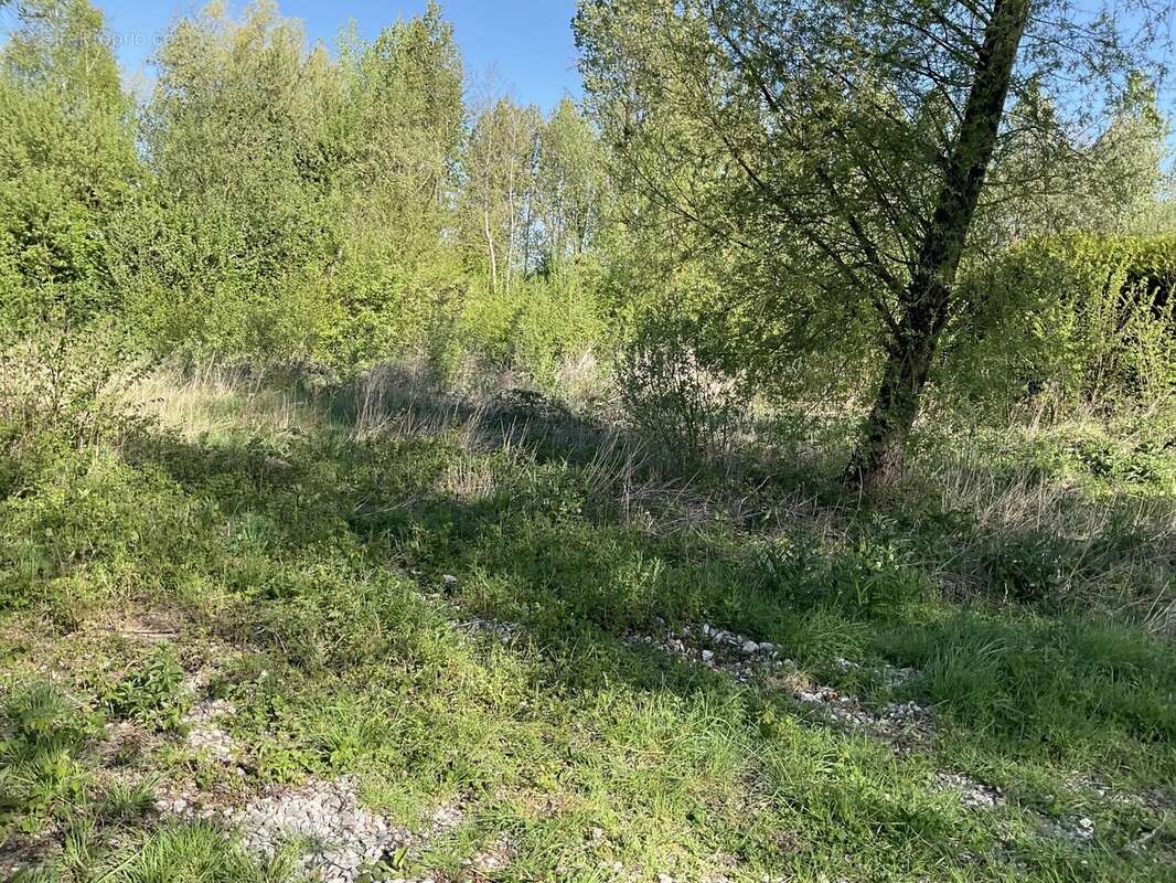 Terrain à BEAUMERIE-SAINT-MARTIN