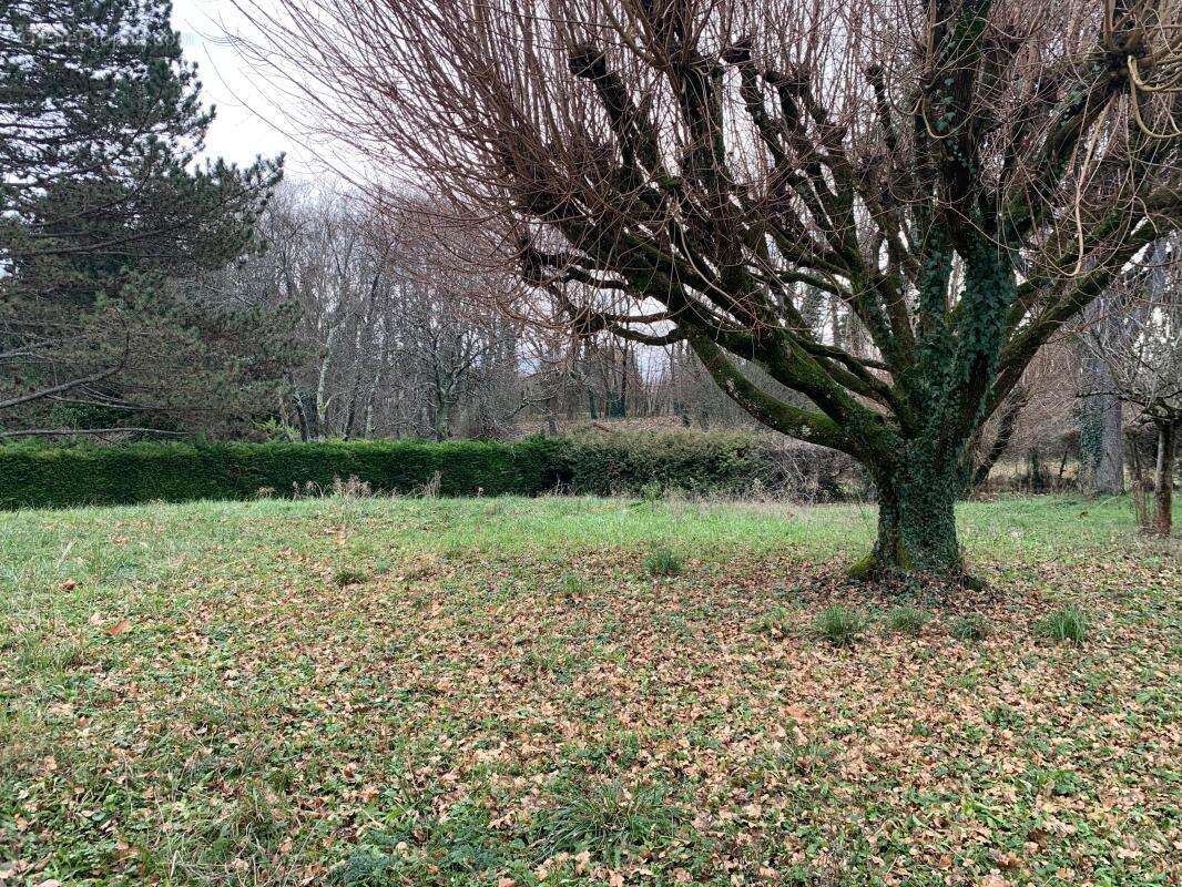 Maison à SAINT-CYR-AU-MONT-D'OR