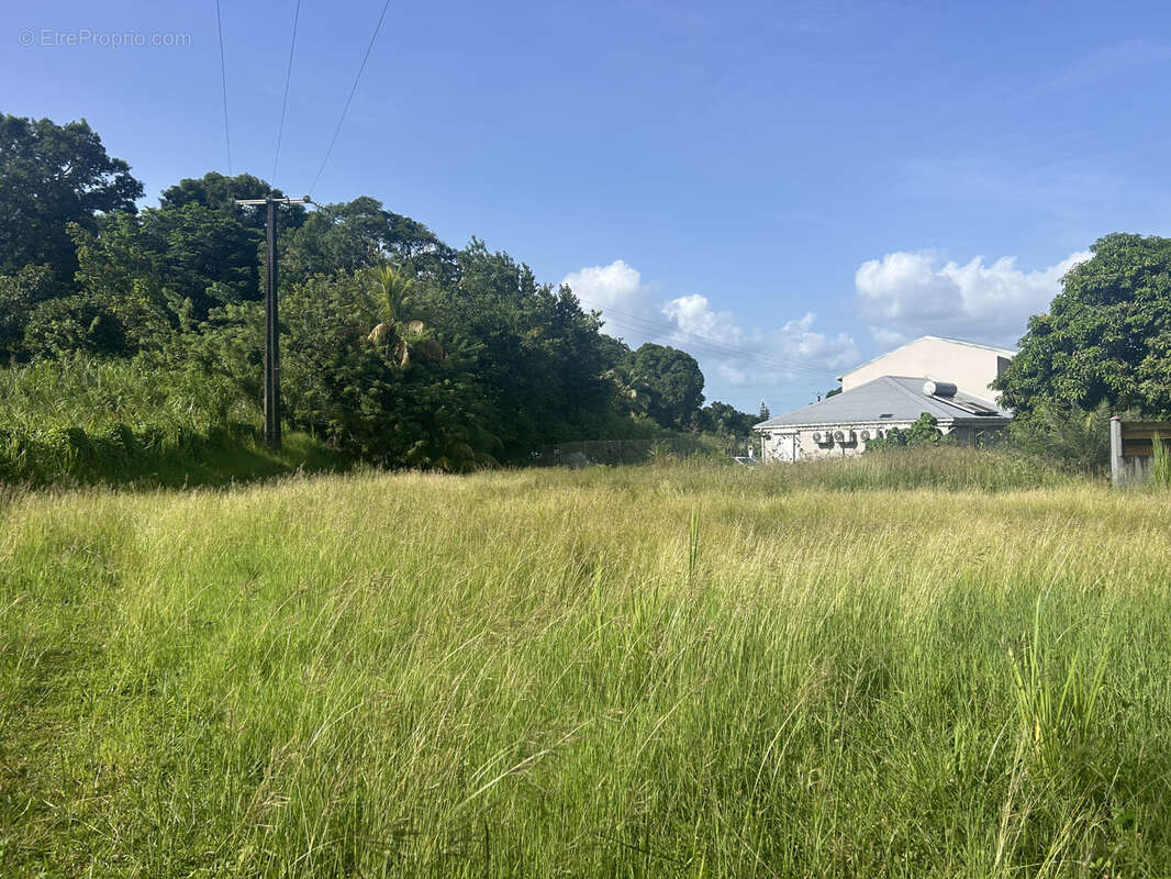 Terrain à PETIT-BOURG