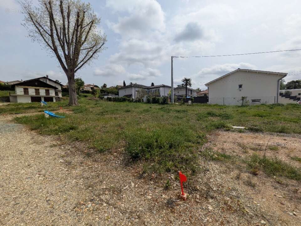 Terrain à JASSANS-RIOTTIER