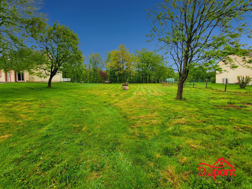 Terrain à BOURG-FIDELE