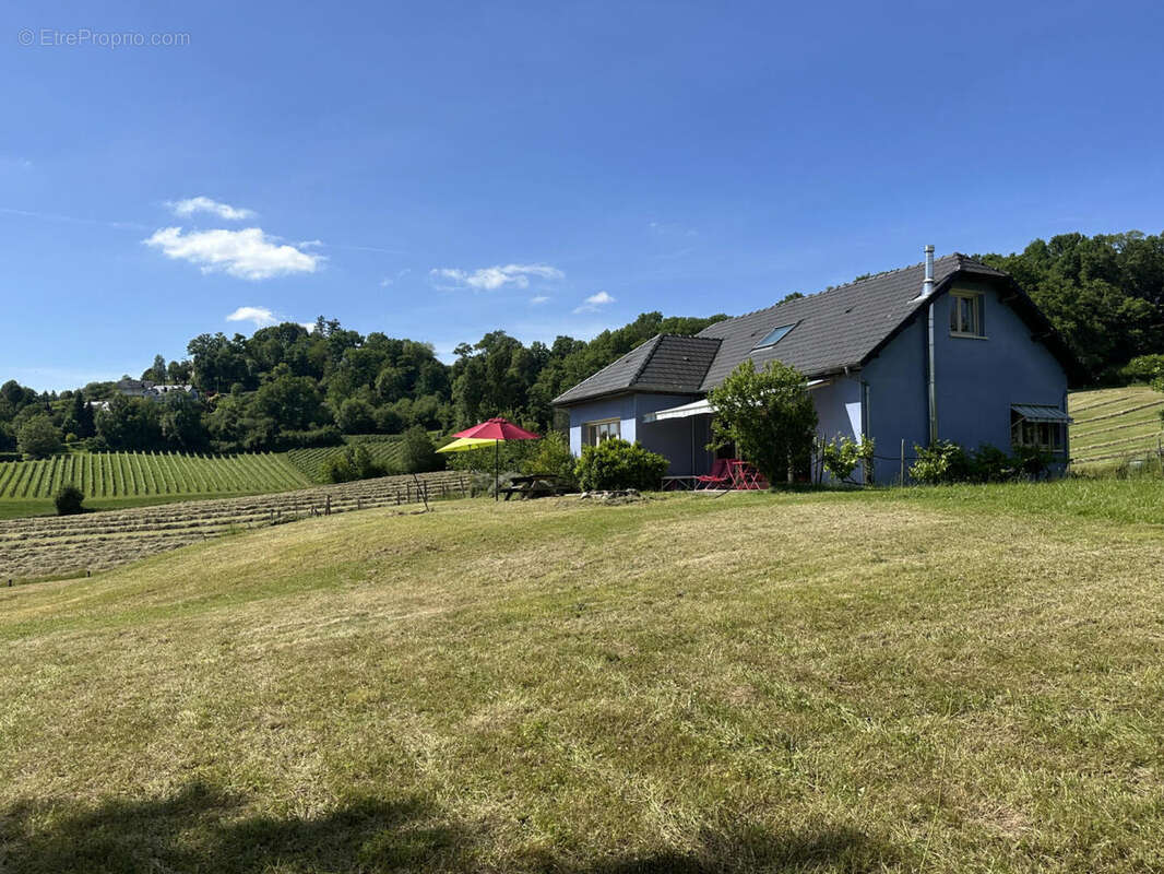 IMG_0128 - Maison à OLORON-SAINTE-MARIE