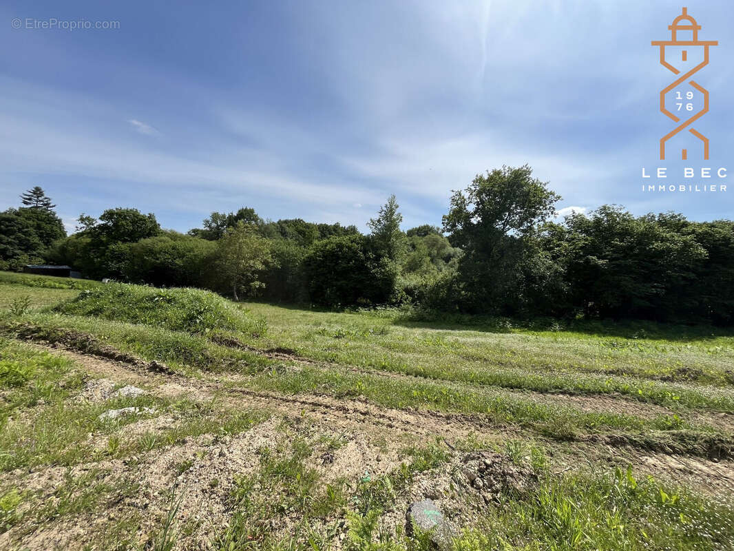 Terrain à PLUMELIN