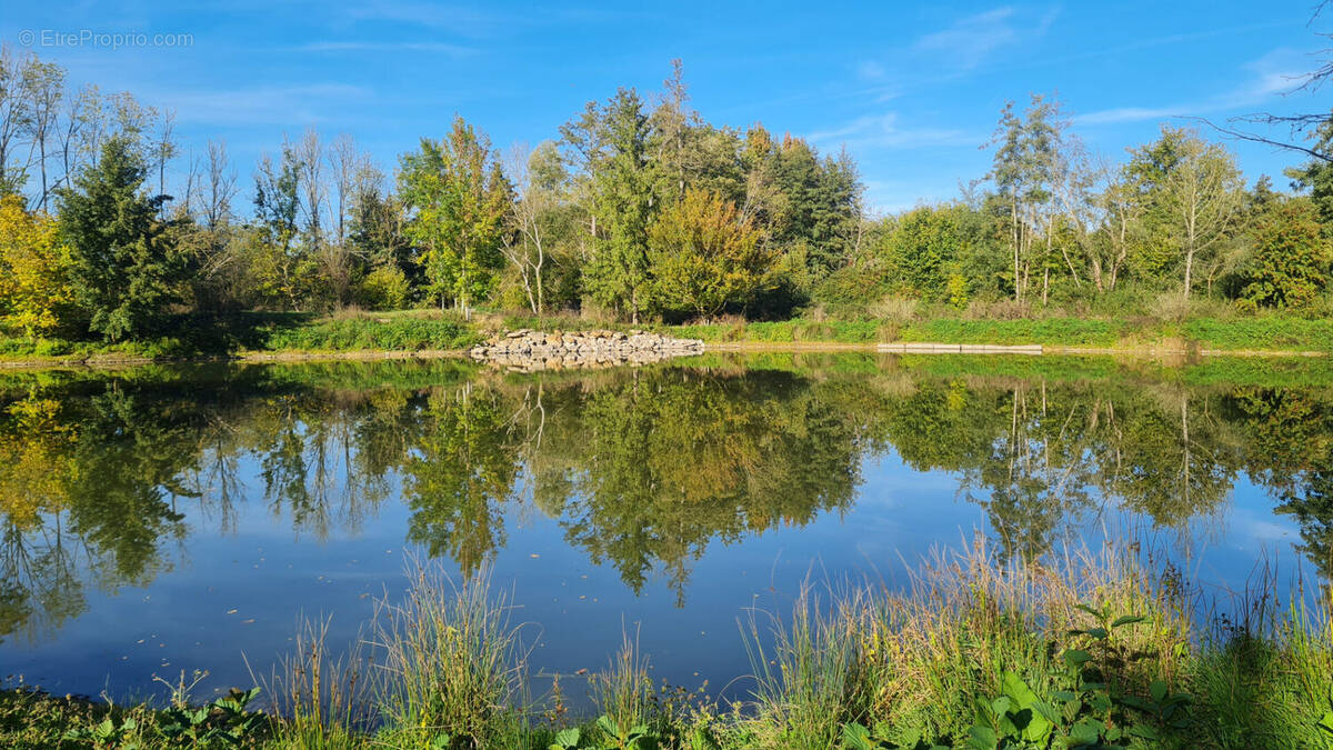 Terrain à MAINTENON