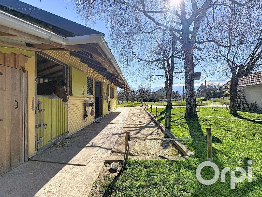 Arenthon-Propriété de caractère avec vue Mont-Blanc, espace équestre et potentiel exceptionnel - photo 21