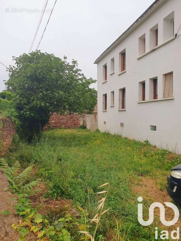 Photo 4 - Appartement à LE BOUSQUET-D'ORB