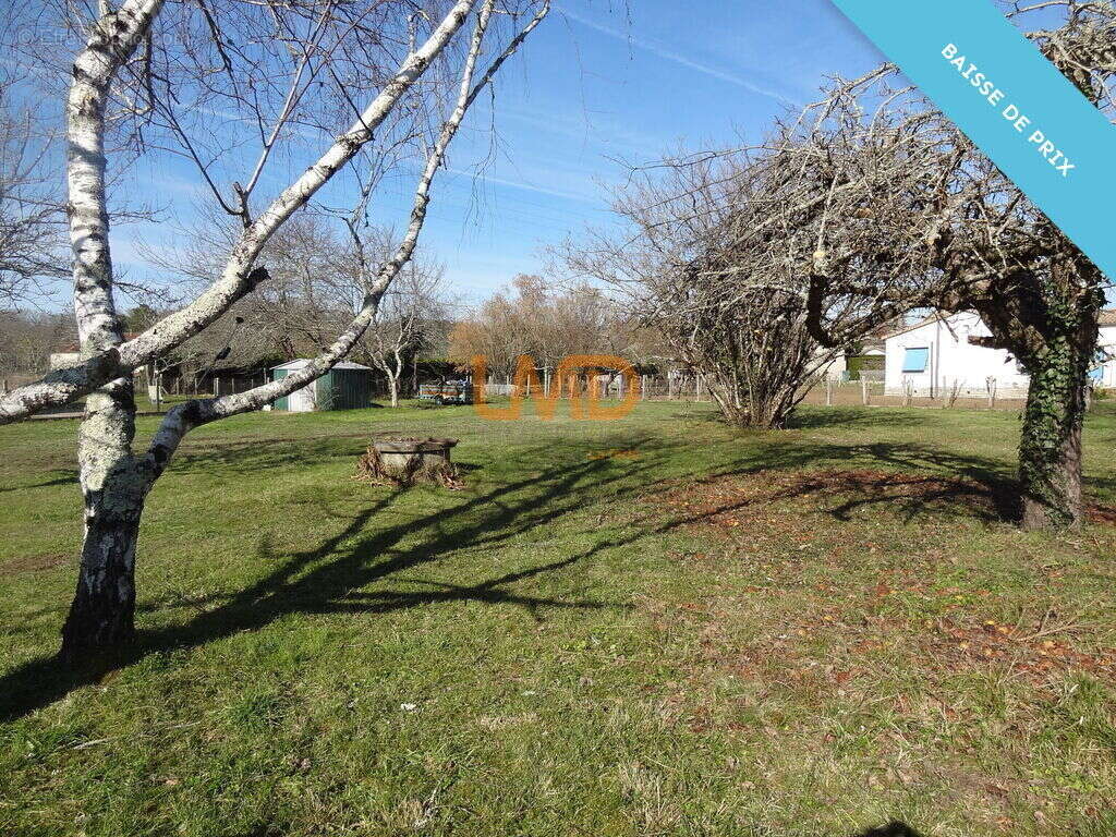 Maison à SAINT-FRONT-DE-PRADOUX
