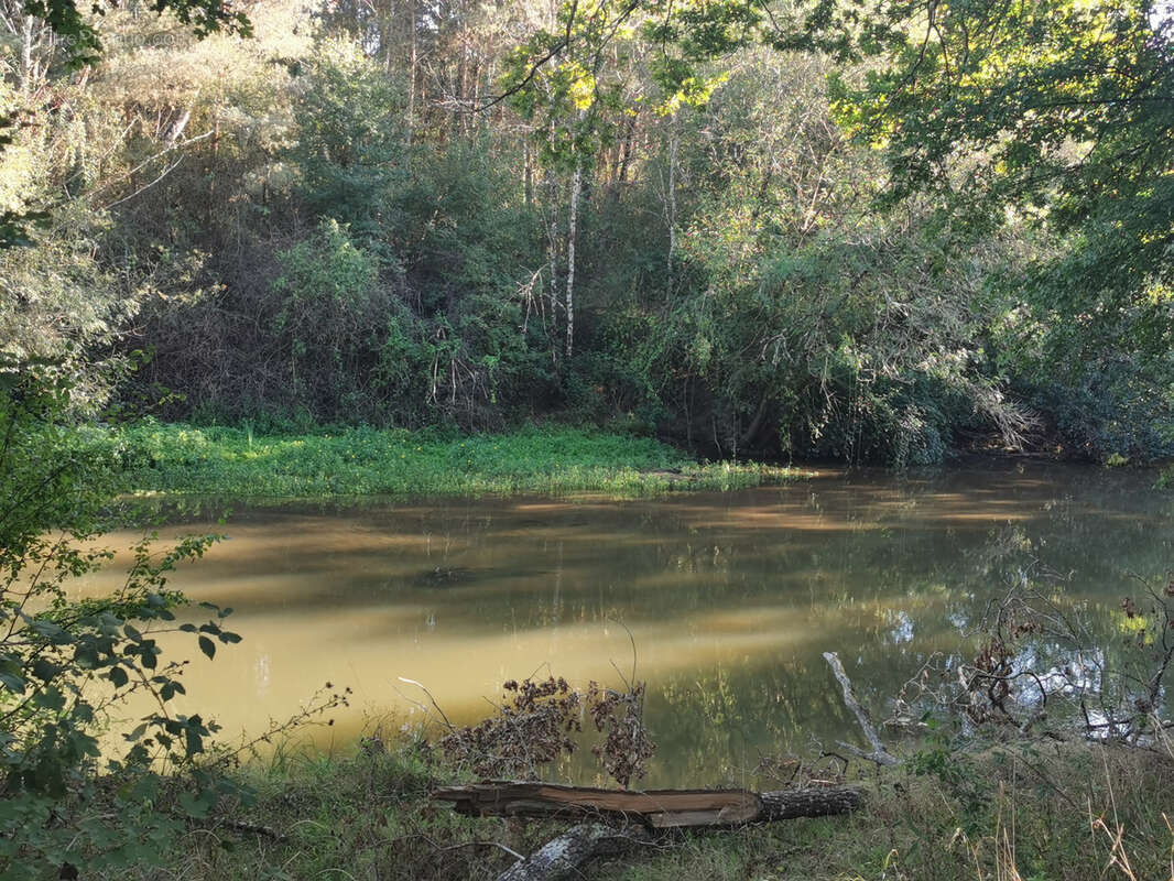 Maison à ROMORANTIN-LANTHENAY