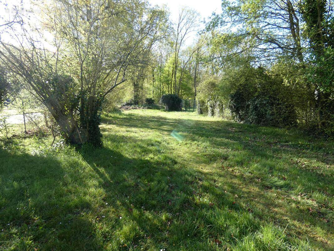Terrain à BOIS-LE-ROI