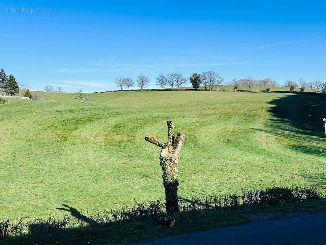 Maison à LAFEUILLADE-EN-VEZIE