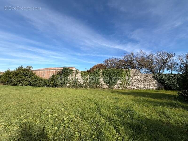 Terrain à SAINTE-MARIE-DE-RE