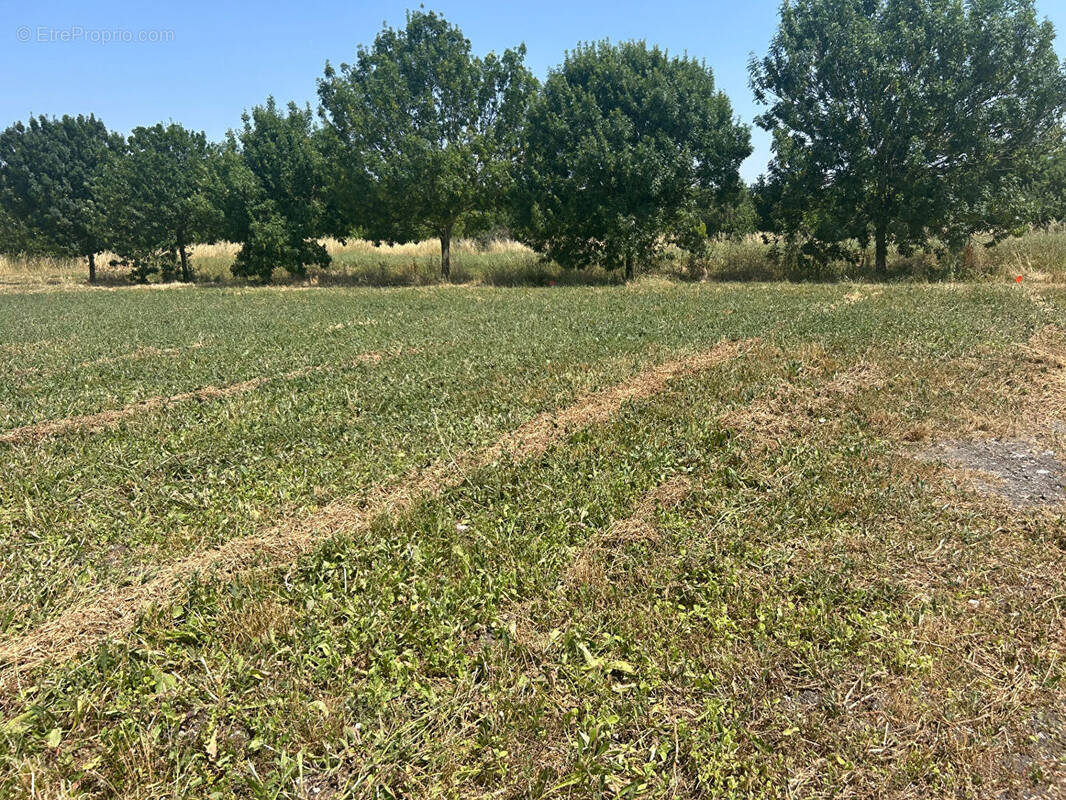 Terrain à MORNAC-SUR-SEUDRE