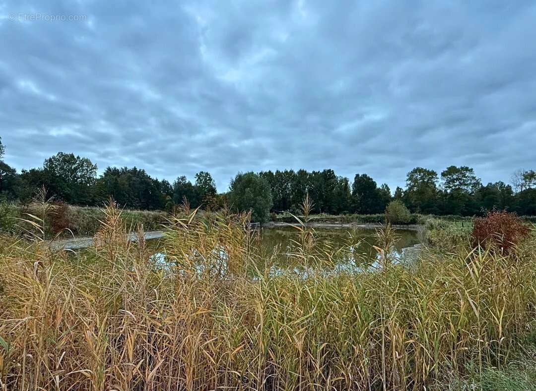 Terrain à WANDIGNIES-HAMAGE