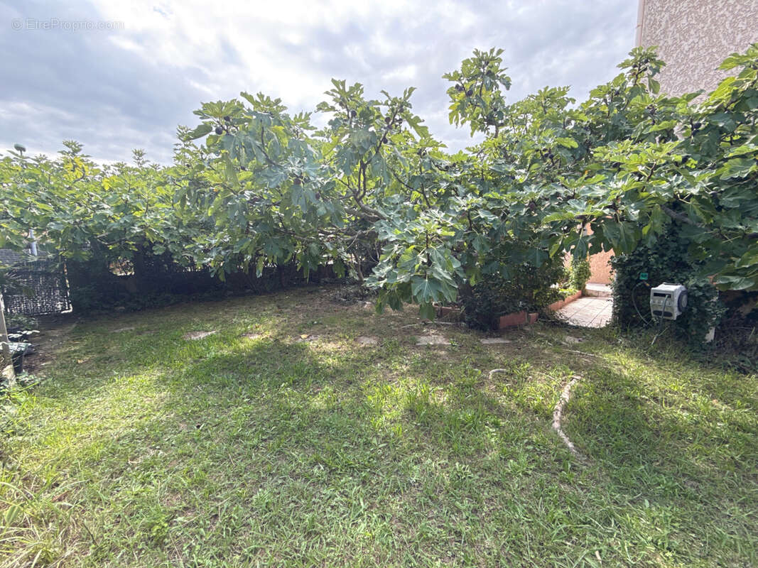 Maison à SAINT-JEAN-PLA-DE-CORTS