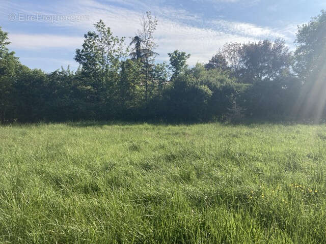 Terrain à SAINT-JEAN