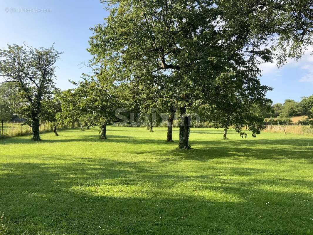 Maison à MONTIGNY-MORNAY-VILLENEUVE-SUR-VINGEANNE