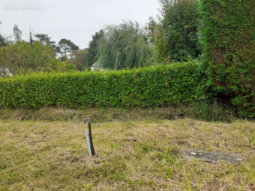 Terrain constructible 1200 m² à TELGRUC (29 560) Presqu'île de Crozon - photo 3