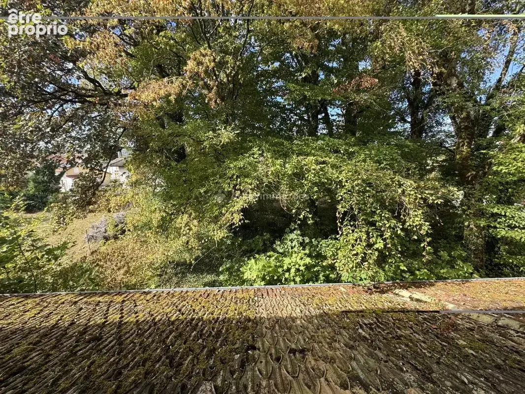 Ancien Café de la Gare – Liffol-le-Grand – Idéal investisseur - photo 13