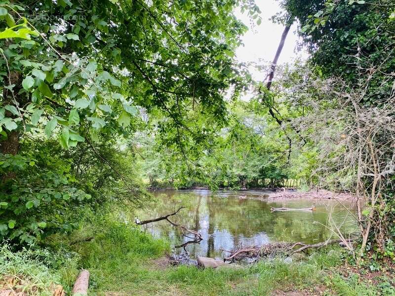 Terrain à SAINT-PERE