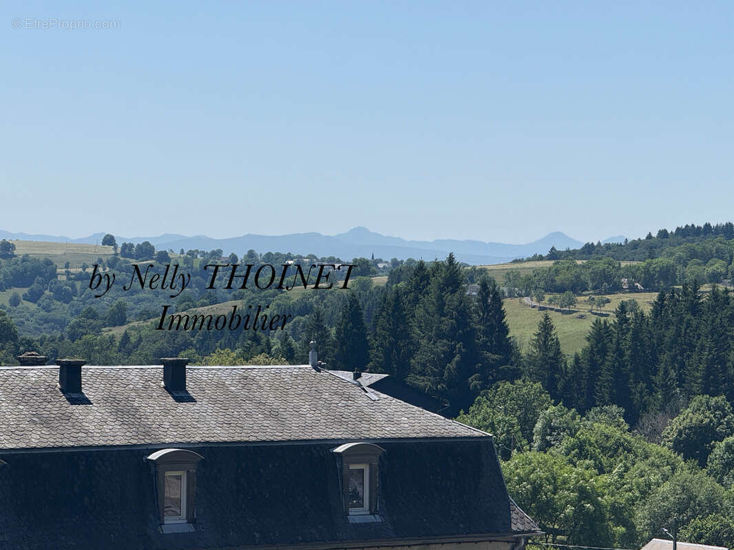 Dépt.63, egliseneuve d'entraigues, terrain à bâtir de 2547 m2 - photo 4
