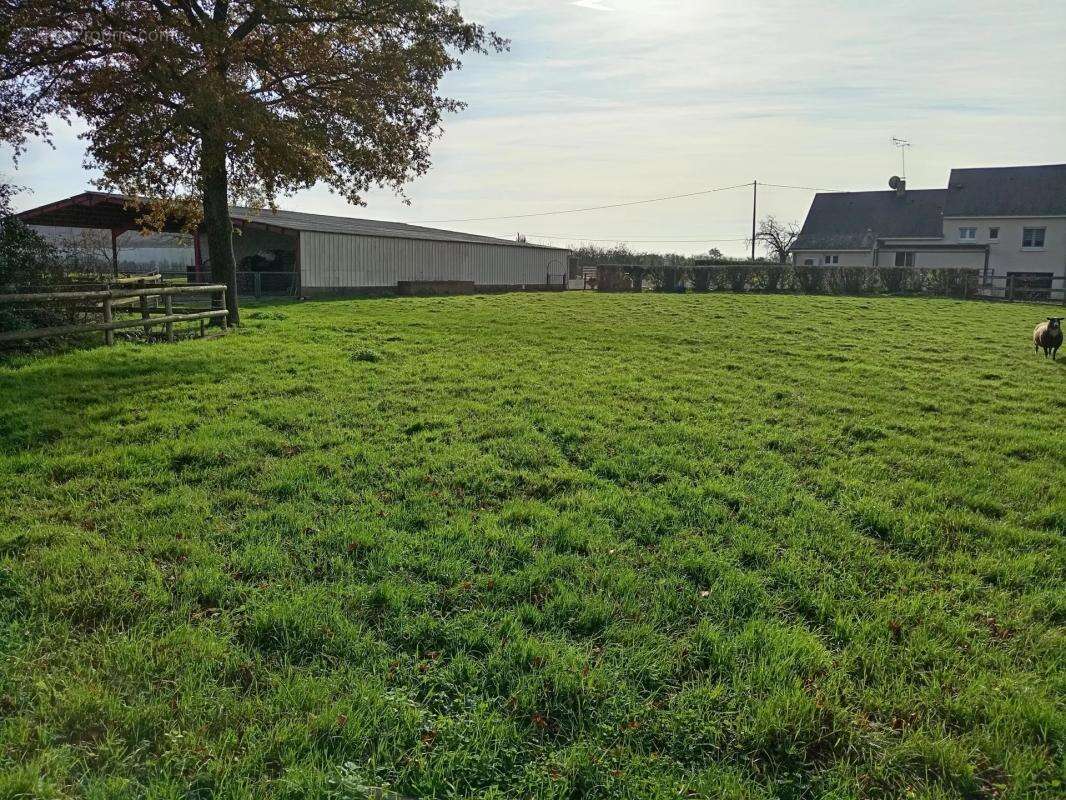 Maison à SAINT-MARS-LA-JAILLE