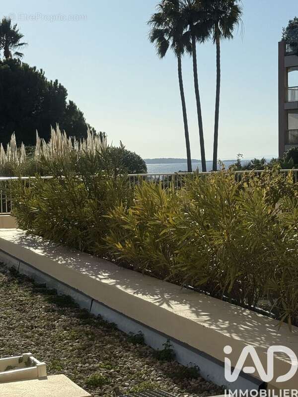 Photo 7 - Appartement à ANTIBES
