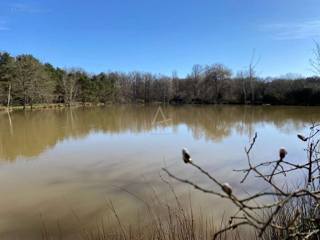 Terrain à SAINT-BRISSON-SUR-LOIRE
