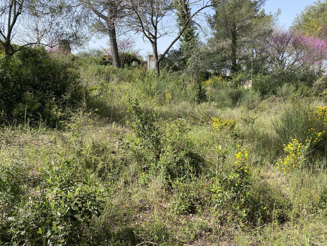 Terrain à PEYMEINADE