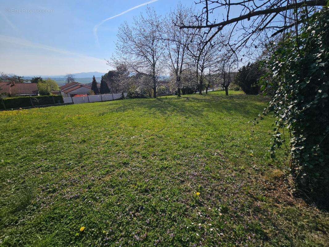 Terrain à vendre de 957 m² -PERIGNAT LES SARLIEVE (63170) - photo 6