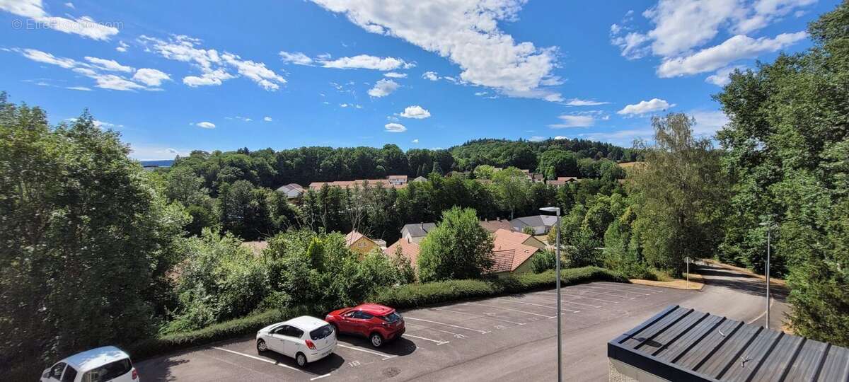 Appartement à SAINT-DIE-DES-VOSGES
