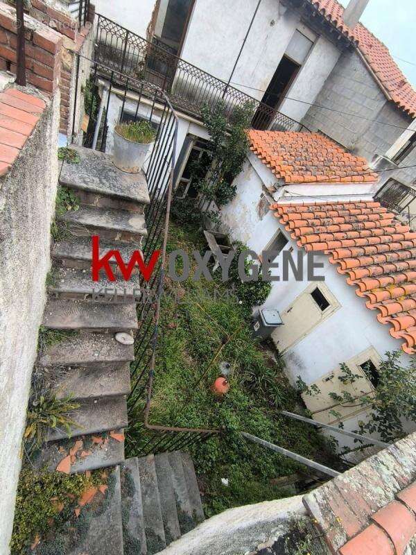 Commerce à LE BOULOU