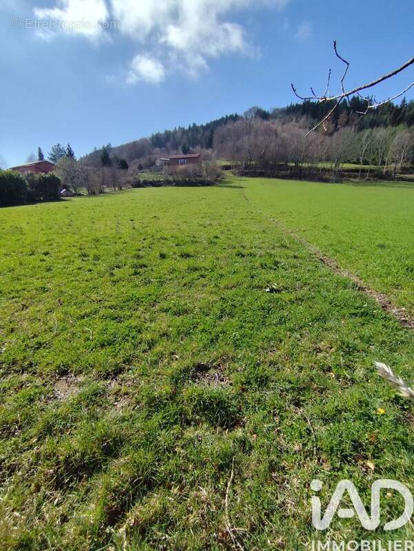 Terrain 3155 m² à Saint-Jean-Soleymieux  - photo 6