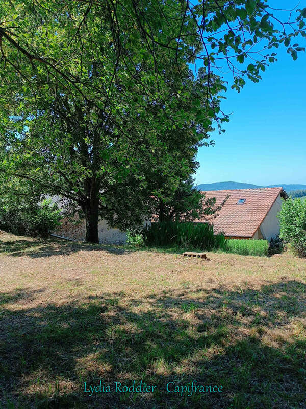 Fermette 10 pièces - grande grange - Rare à SAINT VICTOR MONTVIANEIX (63550) en Auvergne-Rhône Alpes - photo 30