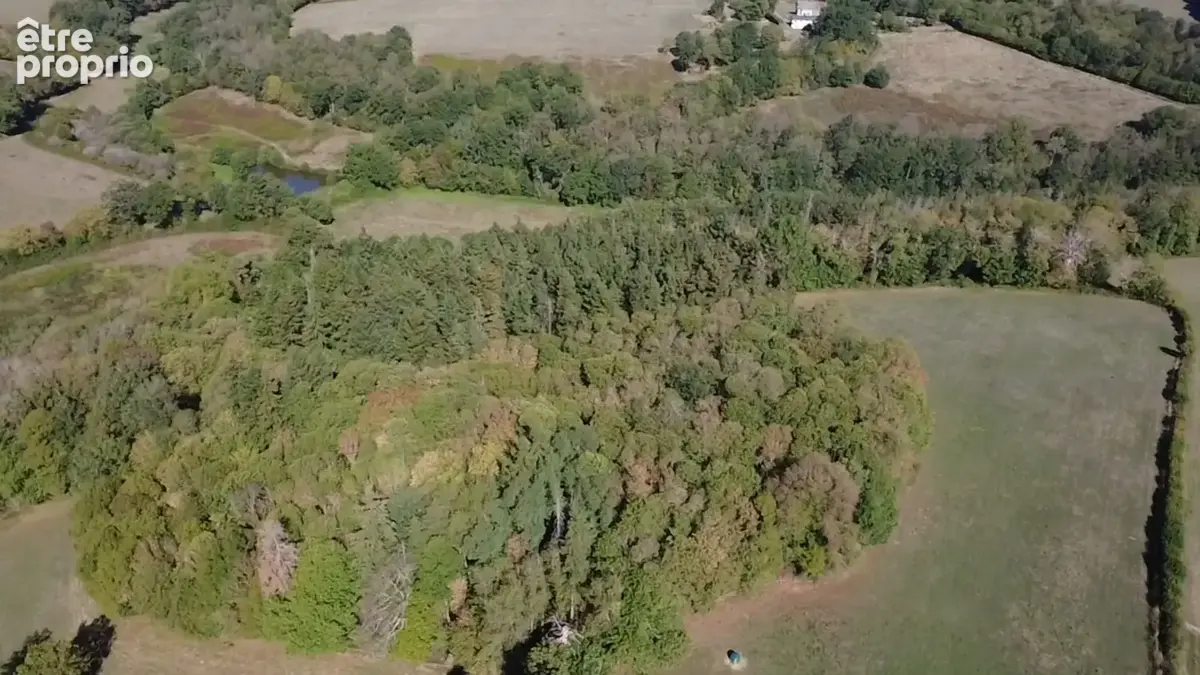 Château du XVIᵉ siècle à Aigurande - 600 m² habitables - 9 ha de prairies et bois – Pays de George Sand Indre (36) 599 000 € - photo 12