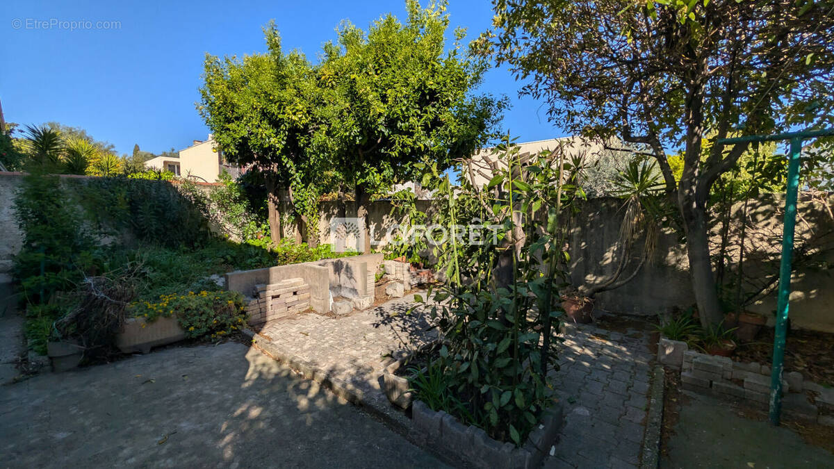 Maison à MONTPELLIER