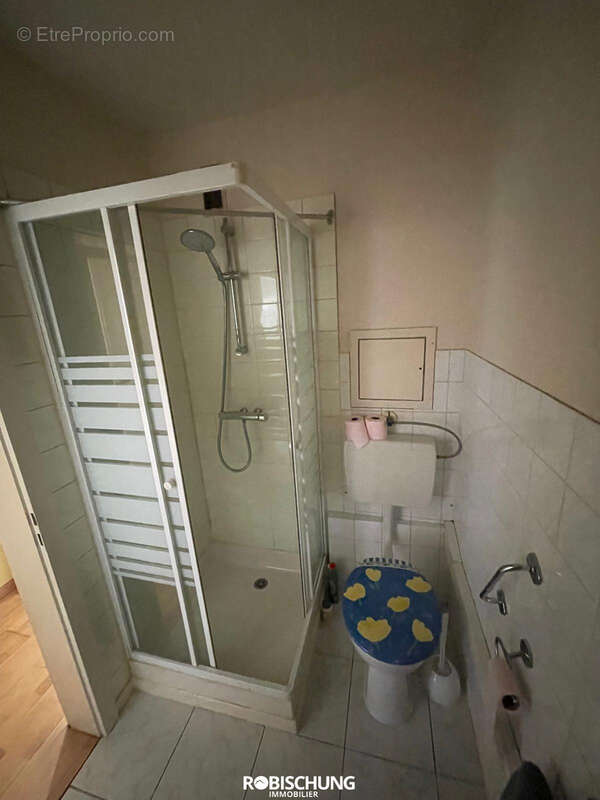 MULHOUSE: Studio de 30 m2 avec balcon   Résidence Les Violettes - photo 4
