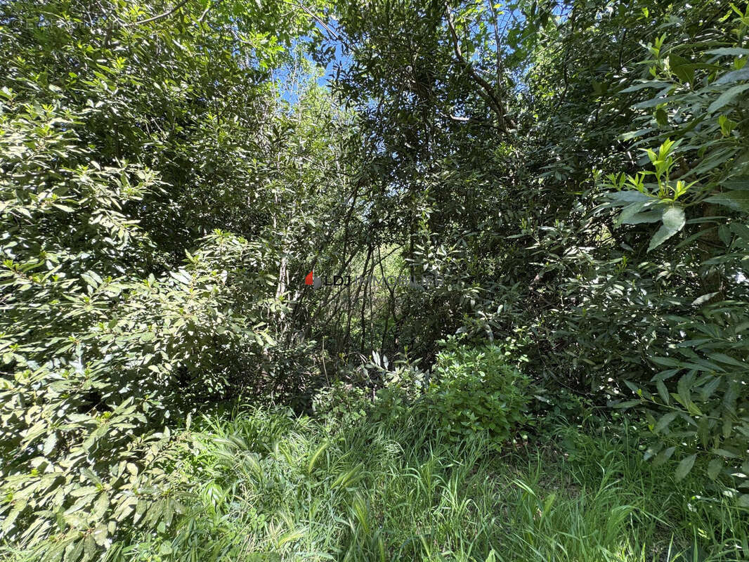 Terrain à PERPIGNAN