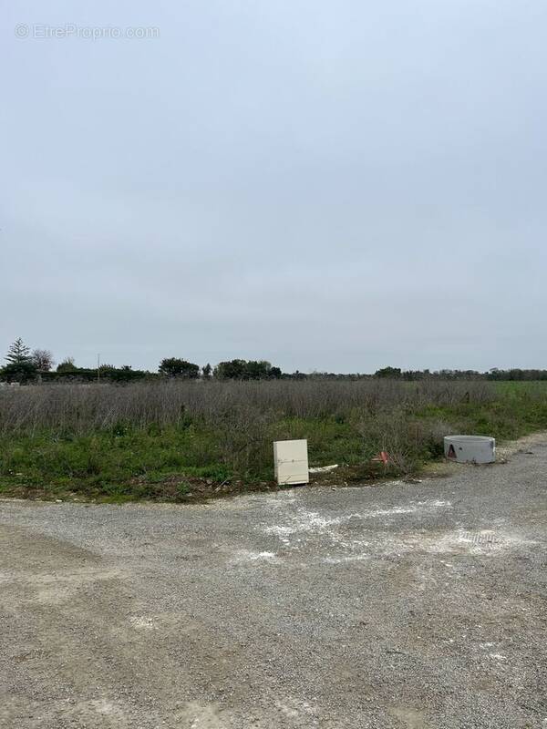 Terrain à SAINT-JEAN-DE-LIVERSAY