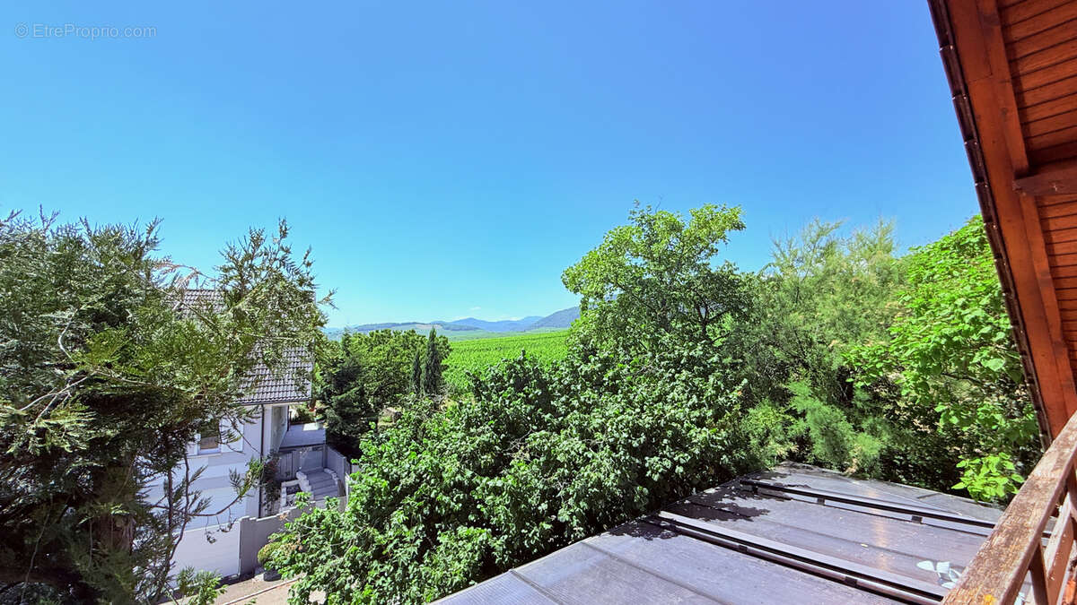 Maison - 191m2 - 6 chambres - Terrain 1053m2 - En limite de zone constructible en haut de Zellenberg ! - photo 20