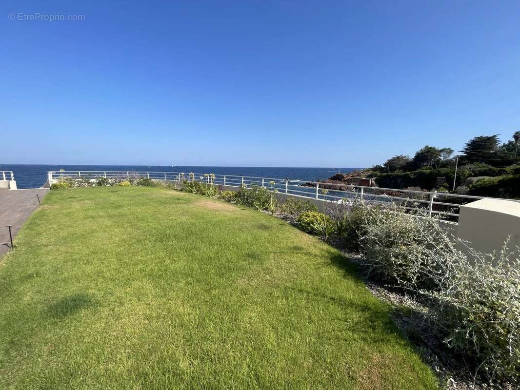 Studio pied-dans-l'eau vue mer panoramique - photo 16