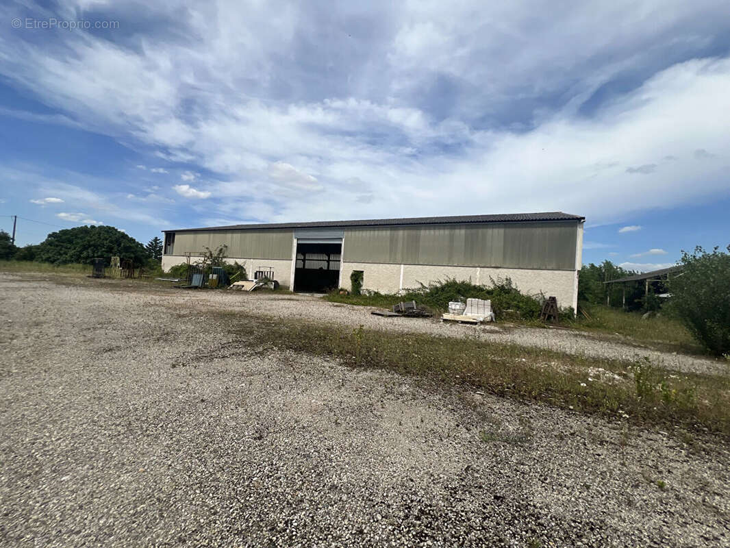 Commerce à ANNEYRON