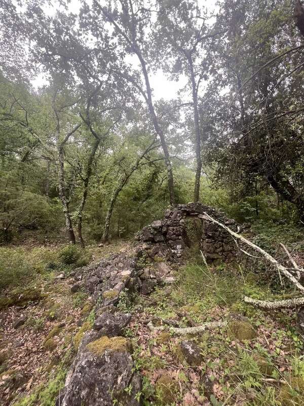 Terrain à TOURRETTES-SUR-LOUP