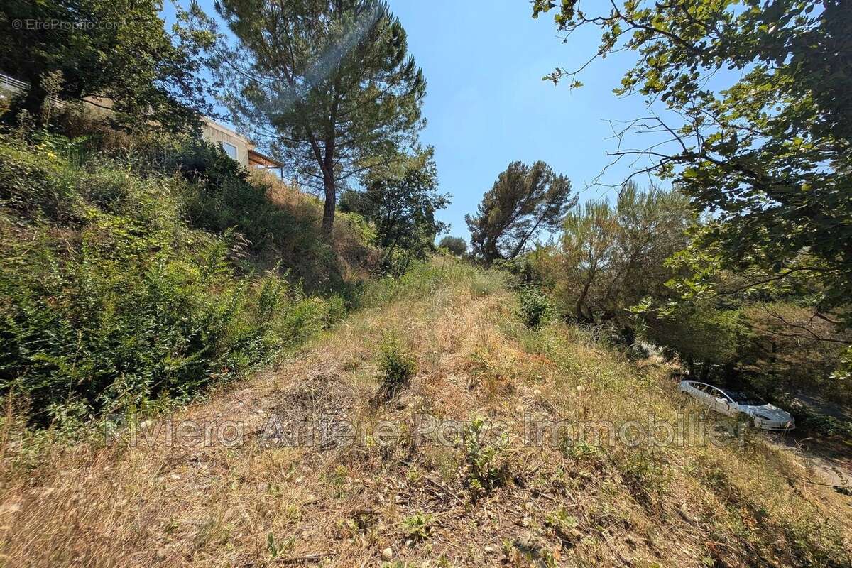 Terrain 1033 m² à Colomars  - photo 3