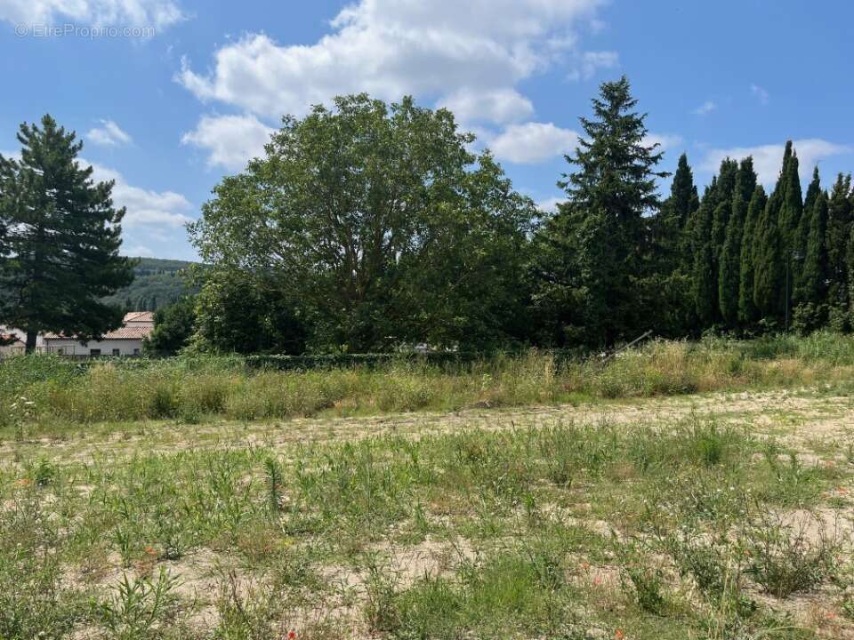 Terrain 411 m² à Les Granges-Gontardes  - photo 3