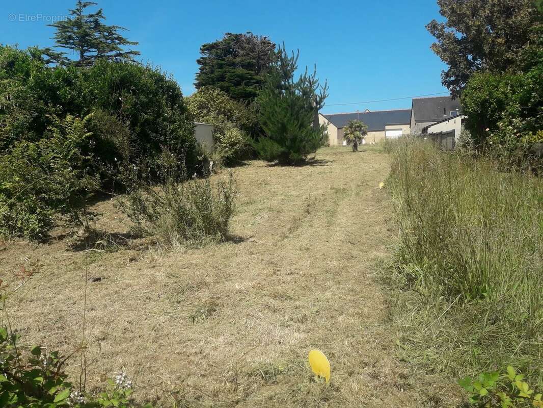 Terrain à SAINT-COULOMB